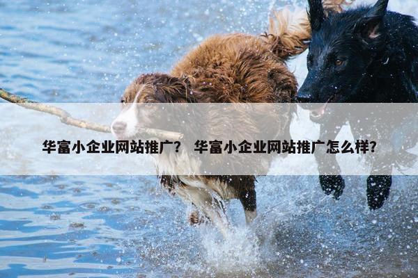 华富小企业网站推广？ 华富小企业网站推广怎么样？