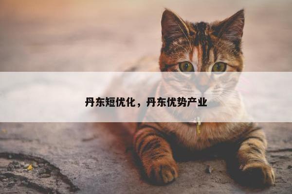 丹东短优化，丹东优势产业