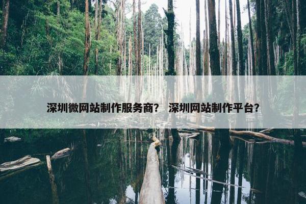 深圳微网站制作服务商？ 深圳网站制作平台？