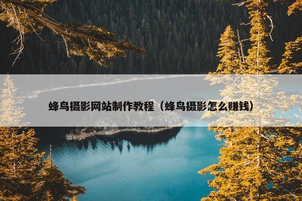 蜂鸟摄影网站制作教程（蜂鸟摄影怎么赚钱）