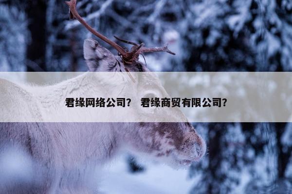 君缘网络公司？ 君缘商贸有限公司？