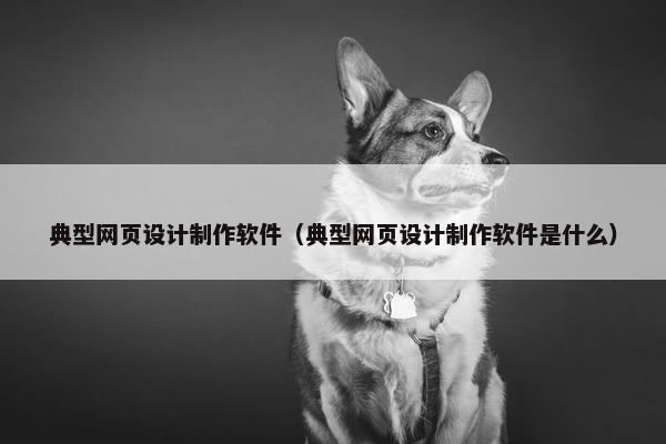 典型网页设计制作软件（典型网页设计制作软件是什么）