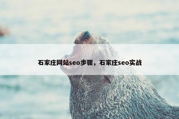 石家庄网站seo步骤，石家庄seo实战