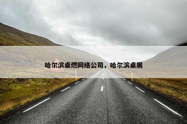 哈尔滨桌燃网络公司，哈尔滨桌展