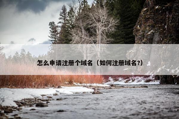 怎么申请注册个域名（如何注册域名?）