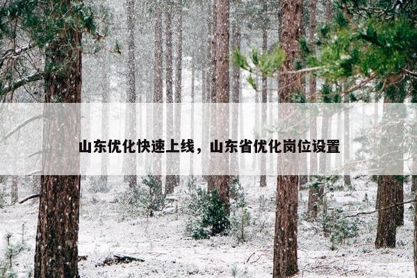 山东优化快速上线，山东省优化岗位设置