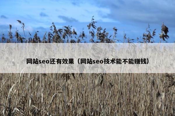 网站seo还有效果（网站seo技术能不能赚钱）