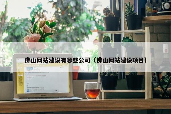 佛山网站建设有哪些公司（佛山网站建设项目）