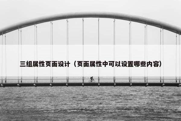 三组属性页面设计（页面属性中可以设置哪些内容）
