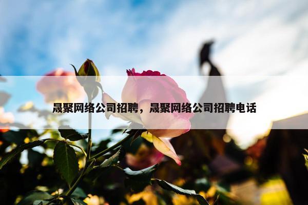 晟聚网络公司招聘，晟聚网络公司招聘电话