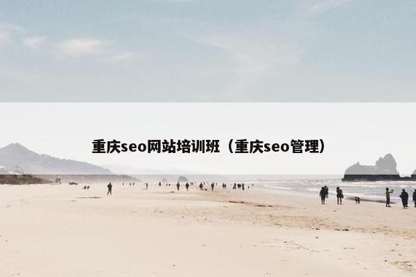 重庆seo网站培训班（重庆seo管理）