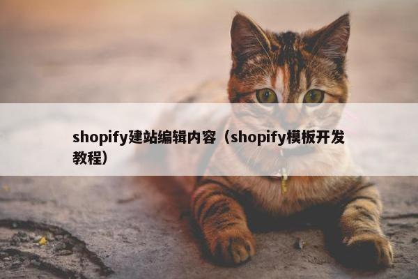 shopify建站编辑内容（shopify模板开发教程）