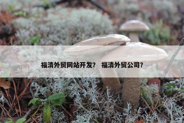 福清外贸网站开发？ 福清外贸公司？