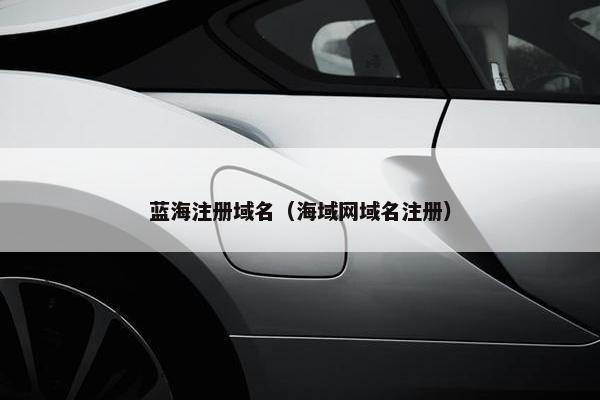 蓝海注册域名（海域网域名注册）