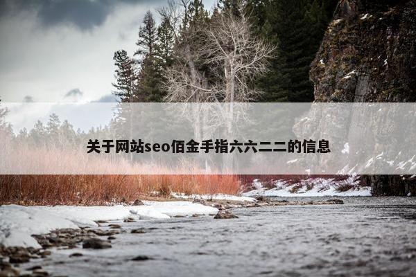 关于网站seo佰金手指六六二二的信息 关于网站seo佰金手指六六二二的信息