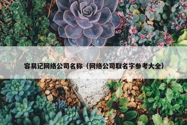 容易记网络公司名称（网络公司取名字参考大全）