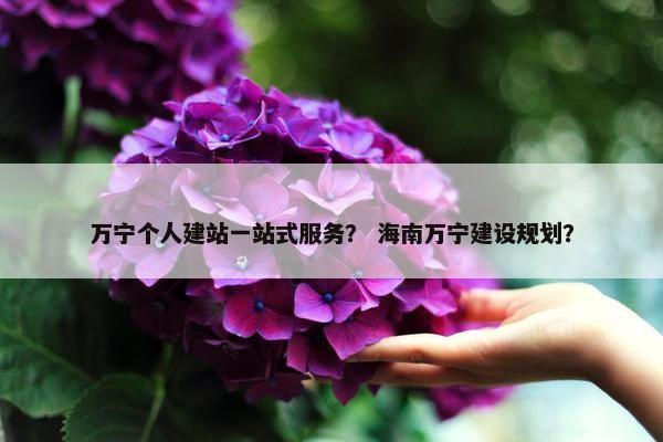 万宁个人建站一站式服务？ 海南万宁建设规划？