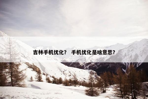 吉林手机优化？ 手机优化是啥意思？