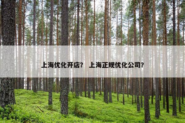上海优化开店？ 上海正规优化公司？