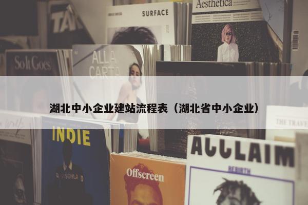湖北中小企业建站流程表（湖北省中小企业）