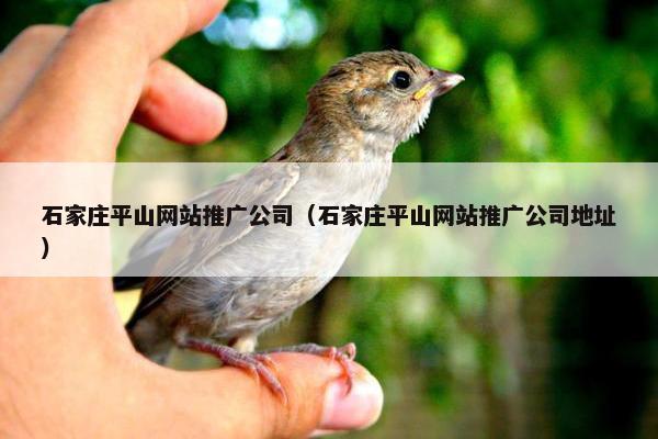 石家庄平山网站推广公司（石家庄平山网站推广公司地址）