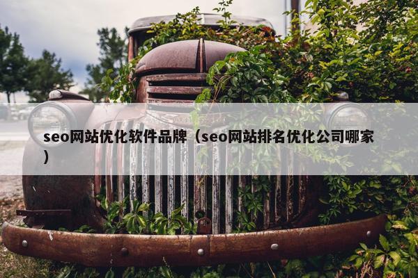seo网站优化软件品牌（seo网站排名优化公司哪家）