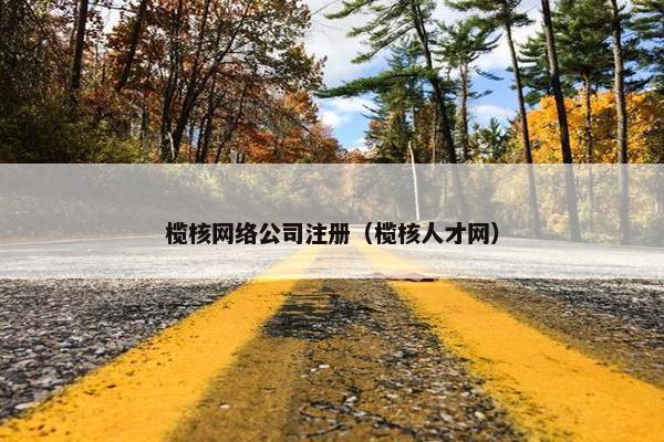 榄核网络公司注册（榄核人才网）