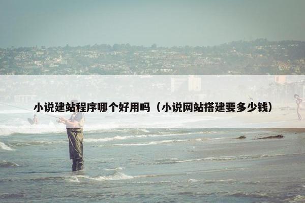 小说建站程序哪个好用吗（小说网站搭建要多少钱）