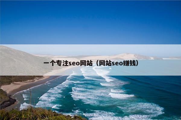 一个专注seo网站（网站seo赚钱）