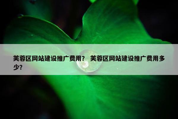 芙蓉区网站建设推广费用？ 芙蓉区网站建设推广费用多少？