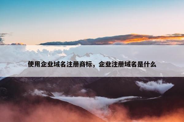使用企业域名注册商标，企业注册域名是什么