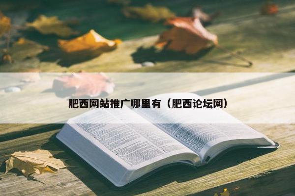 肥西网站推广哪里有（肥西论坛网）