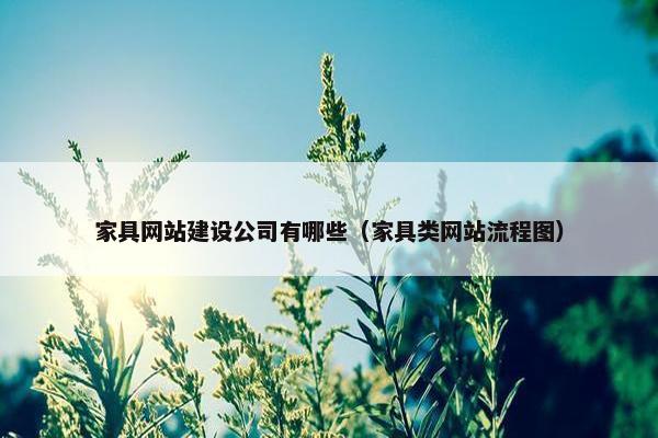 家具网站建设公司有哪些（家具类网站流程图）
