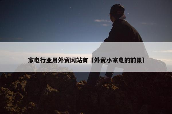家电行业用外贸网站有（外贸小家电的前景）