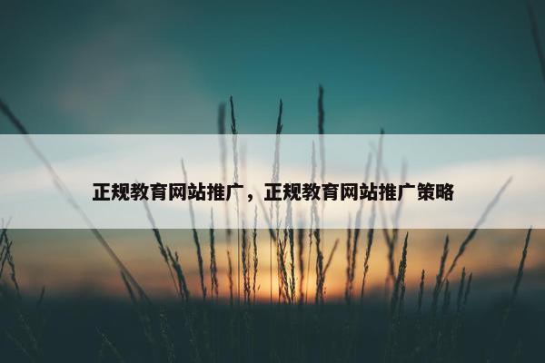 正规教育网站推广，正规教育网站推广策略