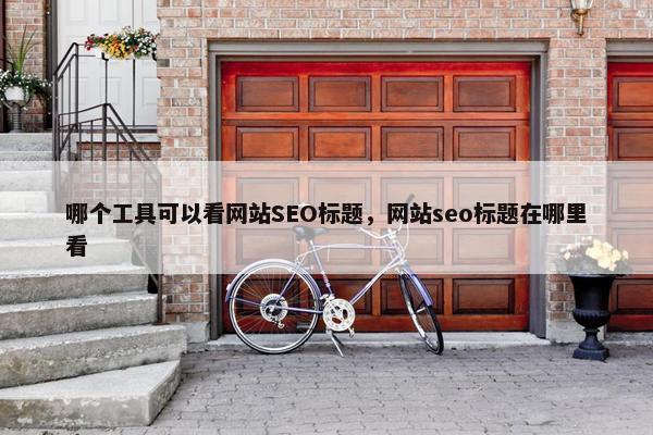 哪个工具可以看网站SEO标题，网站seo标题在哪里看
