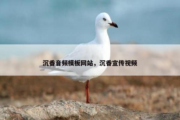 沉香音频模板网站，沉香宣传视频
