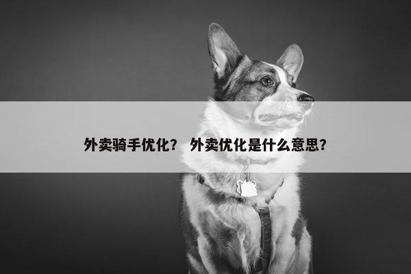外卖骑手优化？ 外卖优化是什么意思？