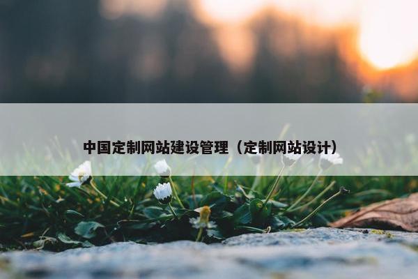 中国定制网站建设管理（定制网站设计）