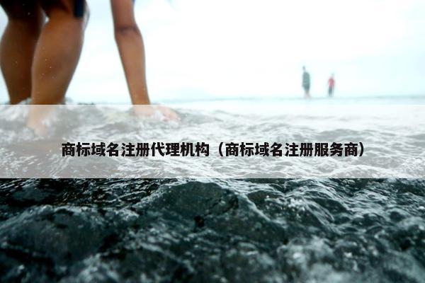 商标域名注册代理机构（商标域名注册服务商）