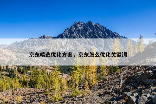 京东精选优化方案，京东怎么优化关键词