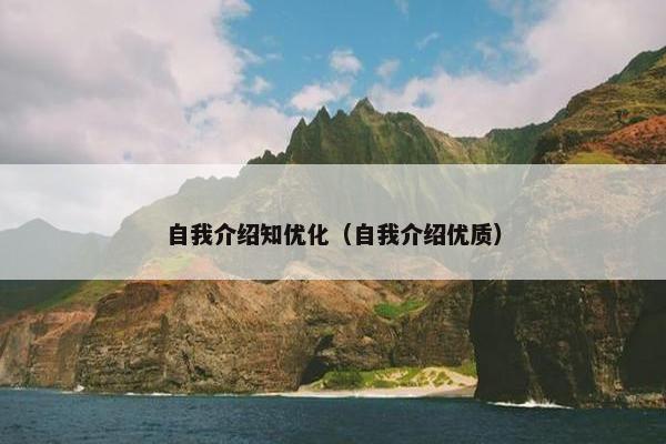 自我介绍知优化（自我介绍优质）