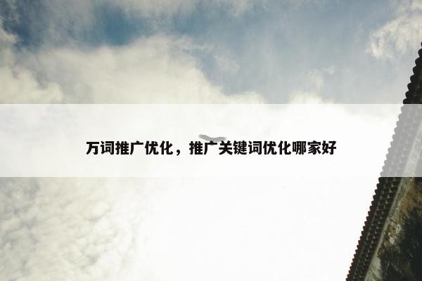 万词推广优化，推广关键词优化哪家好