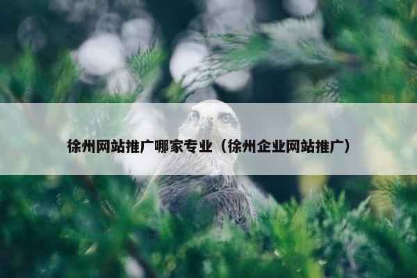 徐州网站推广哪家专业（徐州企业网站推广）