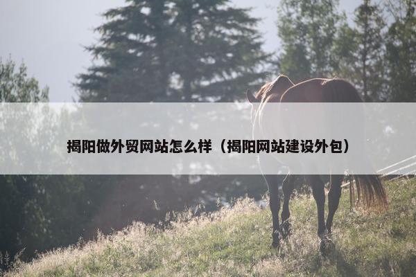 揭阳做外贸网站怎么样（揭阳网站建设外包）