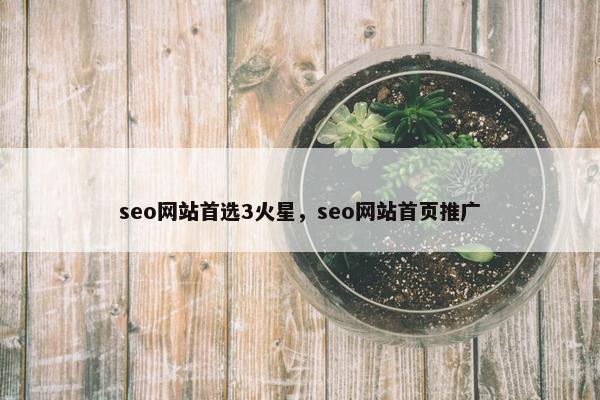 seo网站首选3火星，seo网站首页推广
