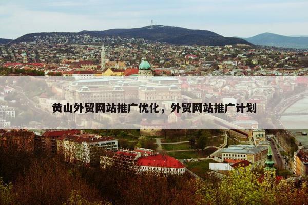 黄山外贸网站推广优化，外贸网站推广计划