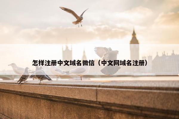 怎样注册中文域名微信（中文网域名注册）