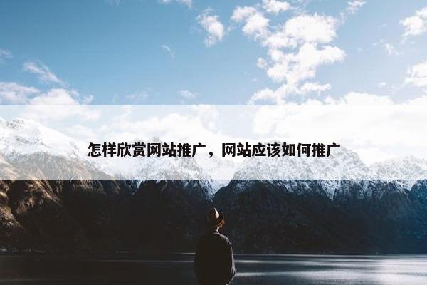 怎样欣赏网站推广，网站应该如何推广