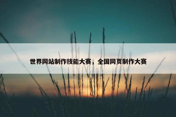 世界网站制作技能大赛，全国网页制作大赛